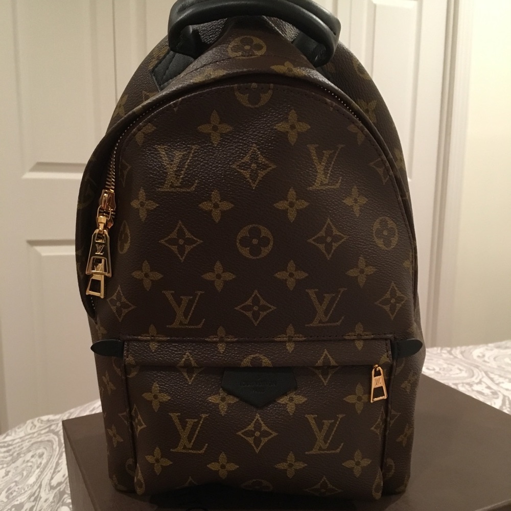 Louis Vuitton Palm Springs PM Backpack